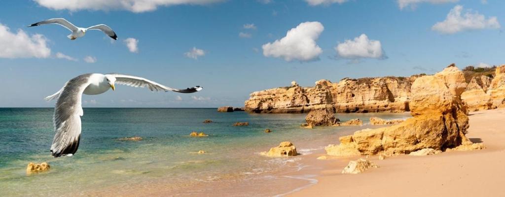 Espacoso Apt T2, Em Olhos Agua Albufeira Zewnętrze zdjęcie